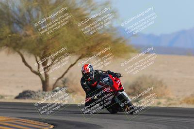 media/Feb-04-2023-SoCal Trackdays (Sat) [[8a776bf2c3]]/Turn 4 (Tree of Life 2pm)/